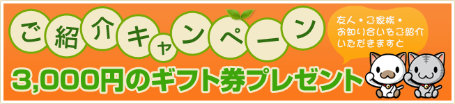 ご紹介キャンペーン　3,000円のギフト券プレゼント